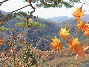 末日时在做什么 有没有空 可以来拯救吗韩漫+(全文在线阅读)